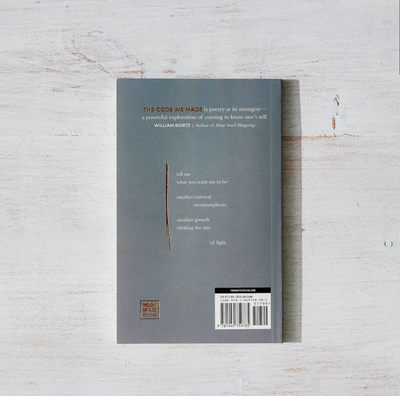 The Gods We Made by Blake Auden