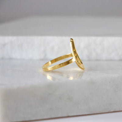 Lucky Horseshoe Waterproof Ring