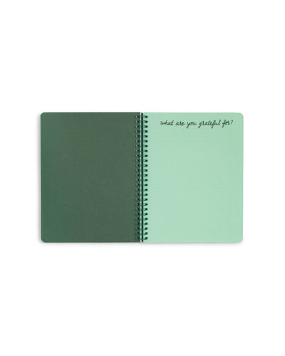 Rough Draft Notebook