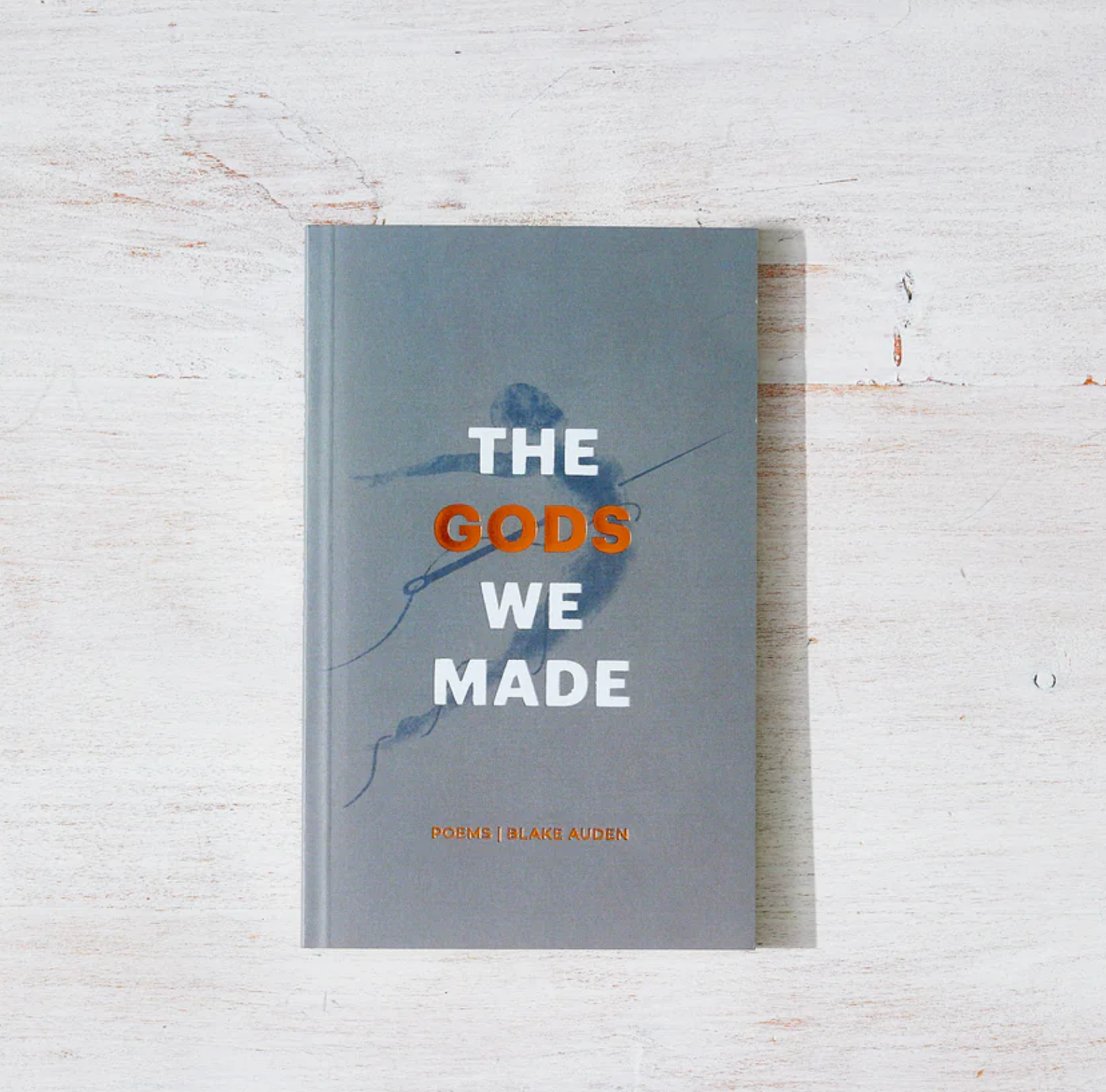 The Gods We Made by Blake Auden