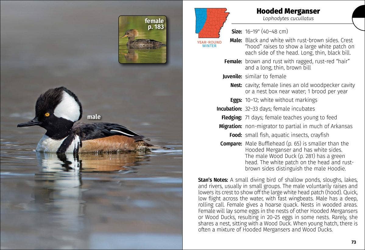 Birds of Arkansas Field Guide