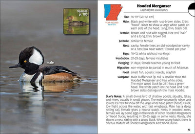 Birds of Arkansas Field Guide
