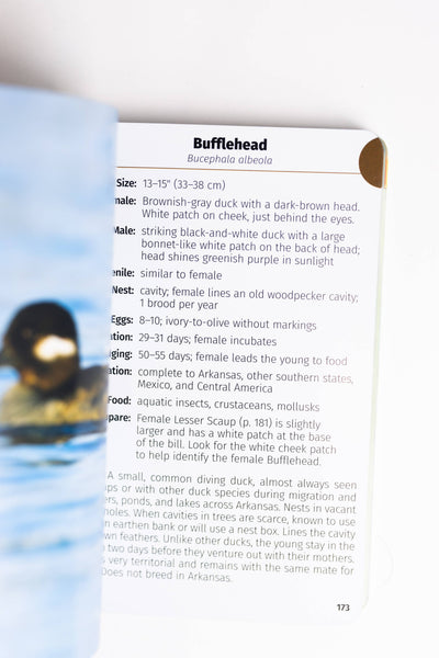 Birds of Arkansas Field Guide