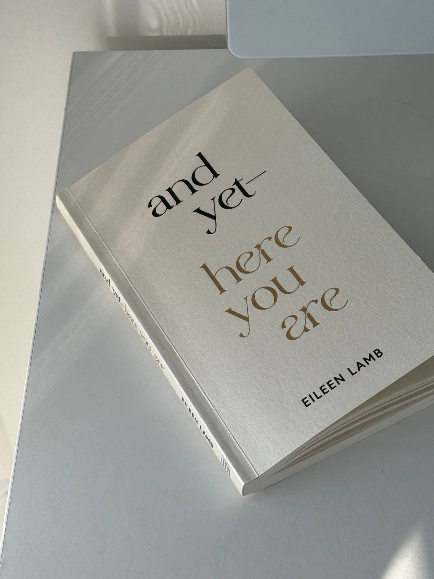 And Yet – Here You Are  by Eileen Lamb