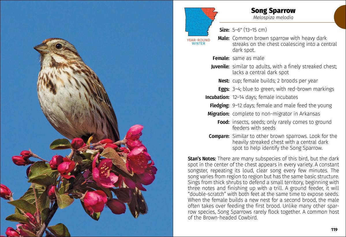 Birds of Arkansas Field Guide