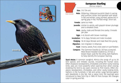 Birds of Arkansas Field Guide