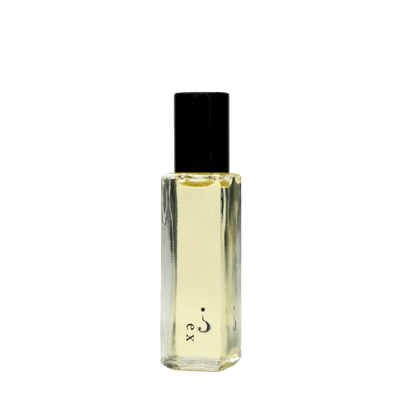 Ex Roll-On Fragrance Oil | 8mL