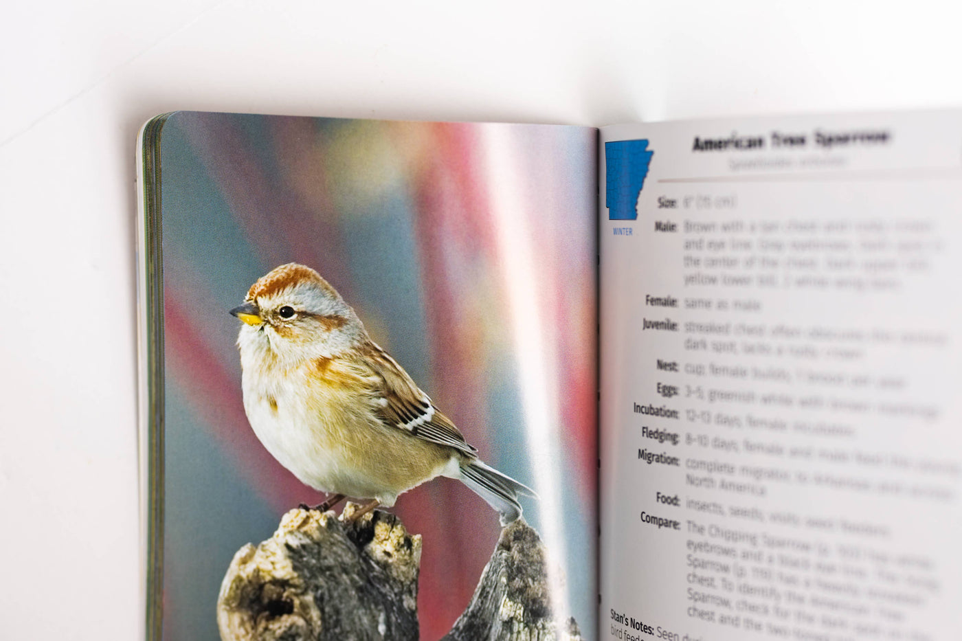 Birds of Arkansas Field Guide