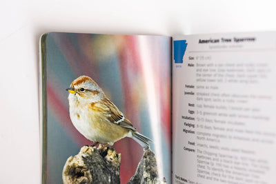 Birds of Arkansas Field Guide