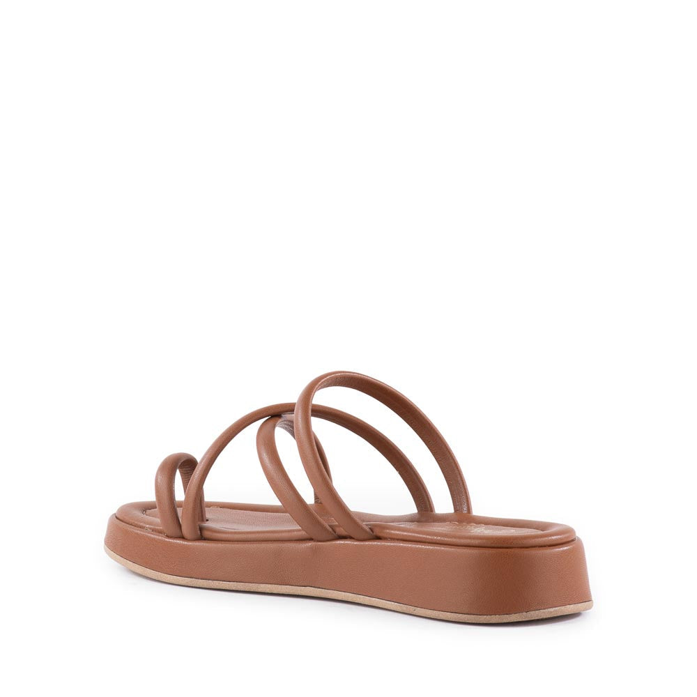 Rule the World Sandal by Seychelles