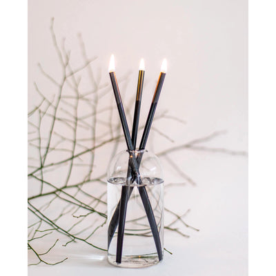Everlasting Candlesticks