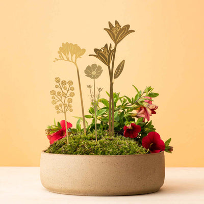 Bloom Bouquet Plant Decor